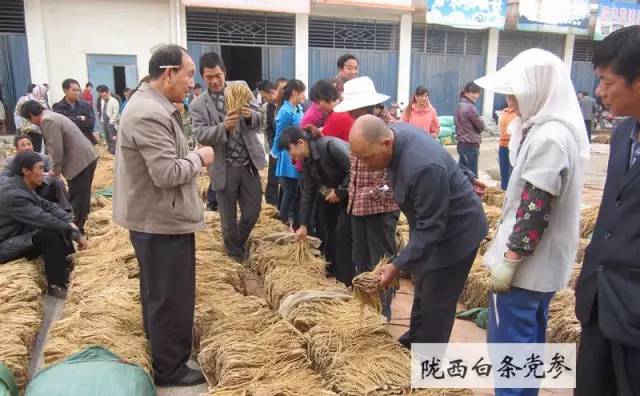 “一帶一路”上值得關(guān)注的「地理標(biāo)志」