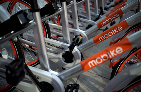 引證商標被撤三！摩拜公司“MOBIKE”商標注冊不具有在先注冊障礙