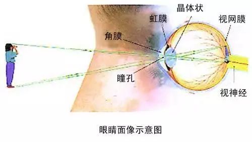 “滴了一年，最后瞎了”！一年賣7億的神藥曝驚人丑聞，延誤病情最終致盲？