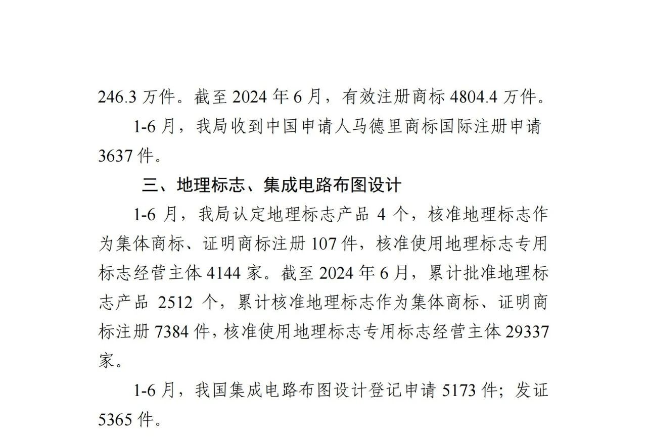 2024年1-6月專利、商標(biāo)、地理標(biāo)志等知識產(chǎn)權(quán)主要統(tǒng)計數(shù)據(jù) | 附數(shù)據(jù)詳情